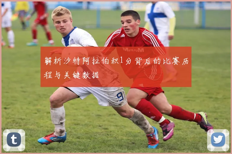 解析沙特阿拉伯积1分背后的比赛历程与关键数据