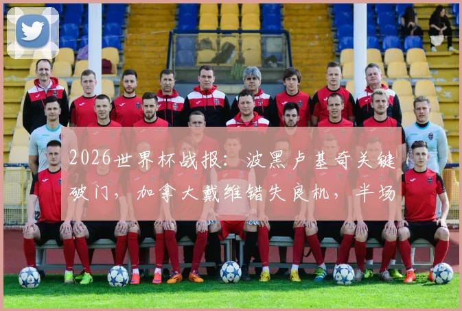2026世界杯战报:波黑卢基奇关键破门,加拿大戴维错失良机,半场攻防详细回顾与技术统计